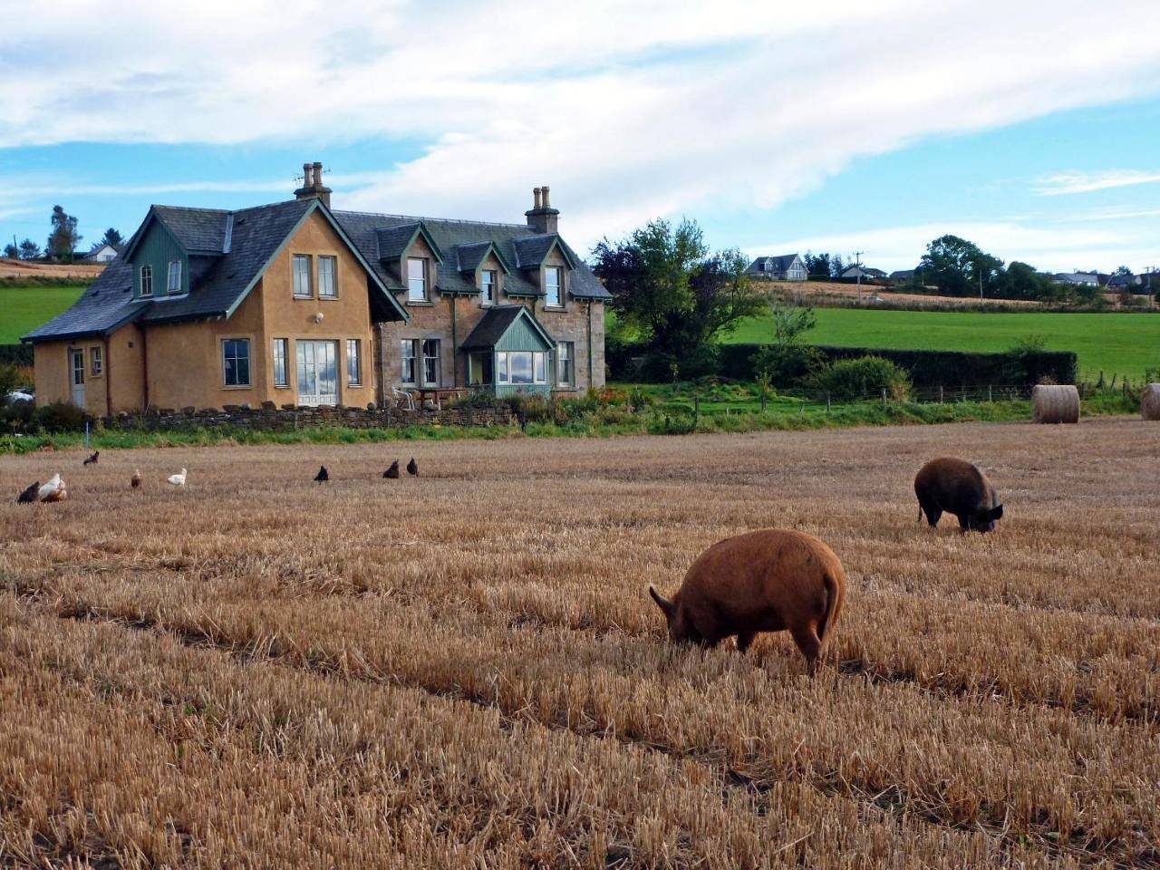 Netherton Farm B&B in Highlands