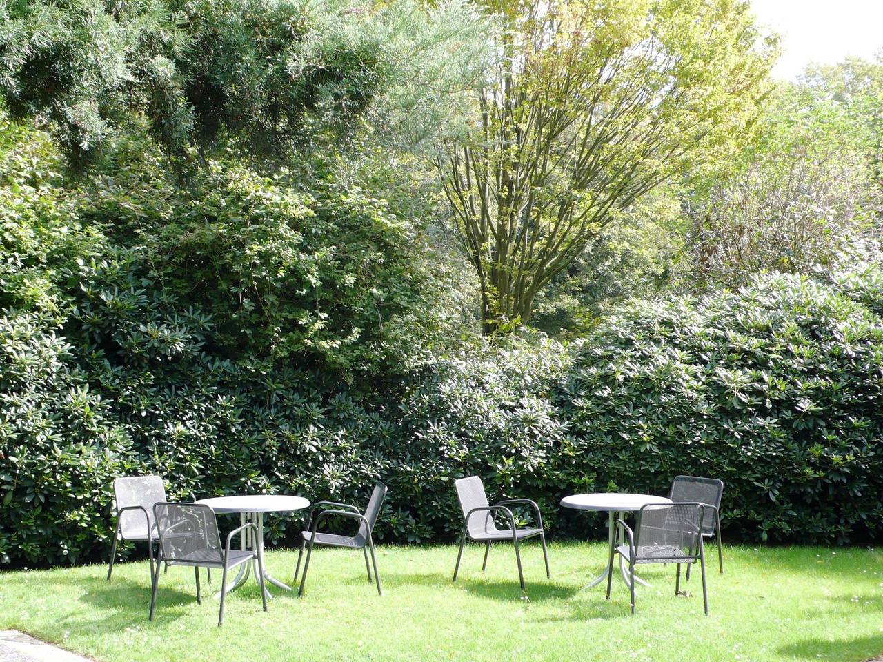 Ganze Ferienwohnung, Appartementhaus Dr. Domberg Wohnung 5 in Bad Zwischenahn, Ammerland