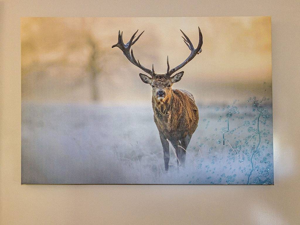 Hirsch & 3 Schweine - Ohakune Ferienhaus in Ohakune, Ruapehu District