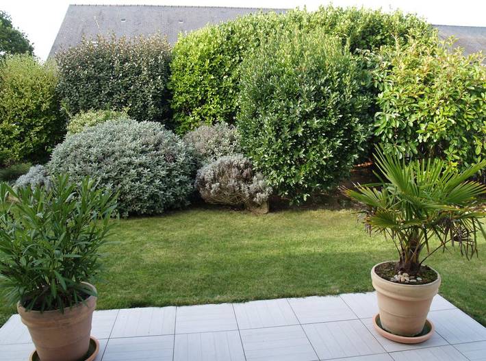 Gîte pour 6 personnes, avec jardin et terrasse à Saint-Armel - 4