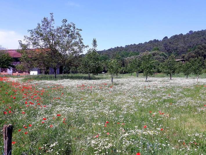Location de vacances pour 4 personnes, avec jardin à Carsac-Aillac - 2