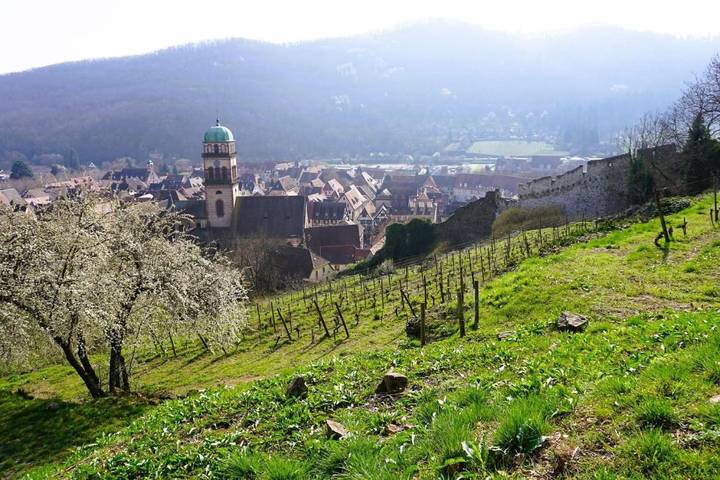 Gîte pour 5 personnes, avec Balcon et Vue à Uffholtz