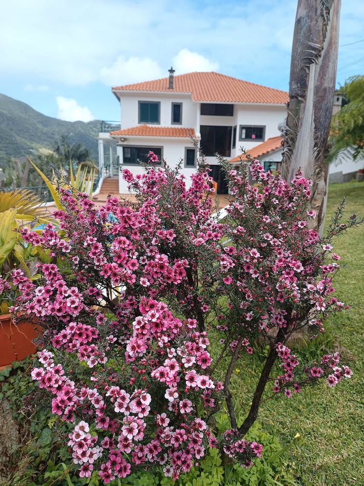 Casa de férias para 8 pessoas, com jardim, com animais de estimação em Machico