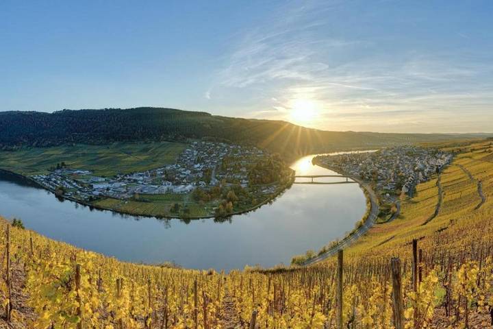 Ferienwohnung für 2 Personen, mit Terrasse in Schweich an der Römischen Weinstraße