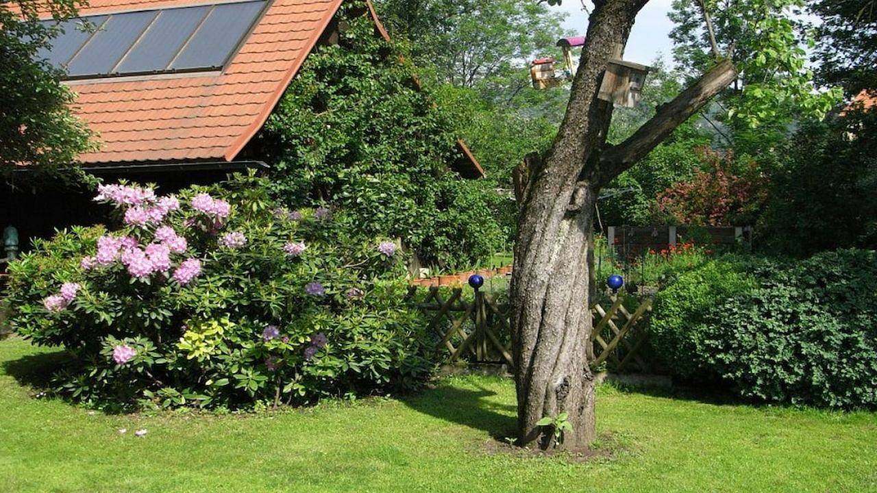 Ferienhaus für 3 Personen (55 m²) in Deutschlandsberg in Deutschlandsberg (Stadt), Deutschlandsberg