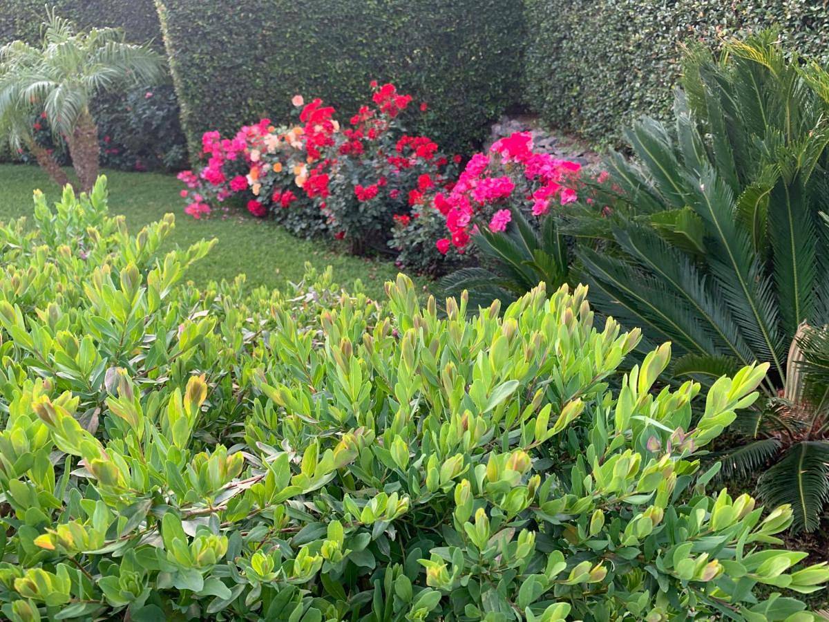 Feudogrande Bio Relais Hotel in Fiumefreddo di Sicilia, Catania e dintorni
