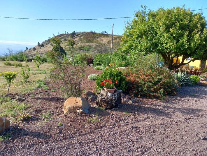 Casa rural para 4 personas, con vistas y jardín en Garafía - 4