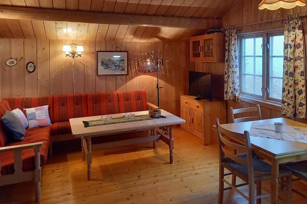 2 bedroom cozy home in Tyinkrysset in Tyin-Filefjell, Vang