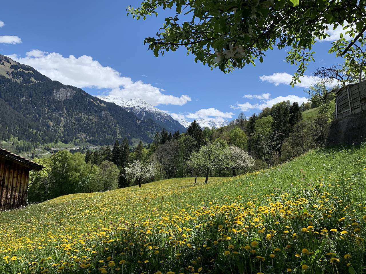 Casa Grischina - 7-Zimmer Ferien-Chalet für 10 Personen, 268qm in Conters im Prättigau, Plessur Alpen