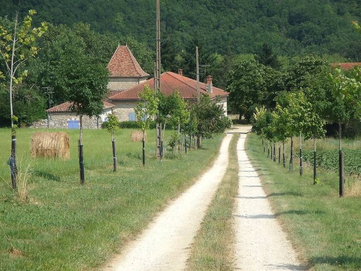 Gîte pour 4 personnes, avec terrasse et jardin dans le Lot-et-Garonne - 4