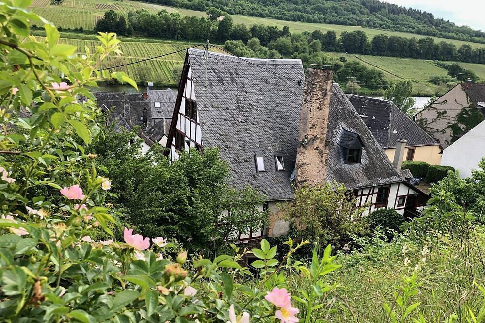 Ganze Wohnung, Wohnen in einem denkmalgeschützten Winzerhof in Merl, Zell (Mosel)