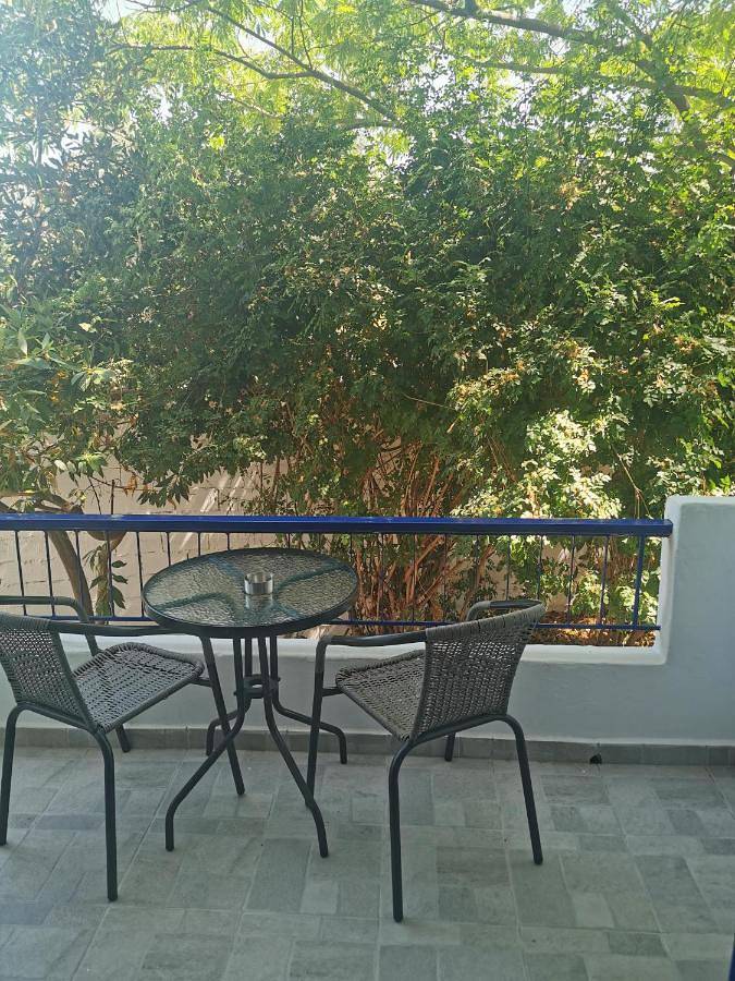Hôtel pour 2 personnes, avec Balcon ainsi que Terrasse et Jardin dans Égine - 4