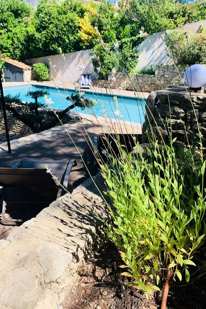 Location de vacances pour 6 personnes, avec jardin et piscine dans Golf de Pont Royal - 2