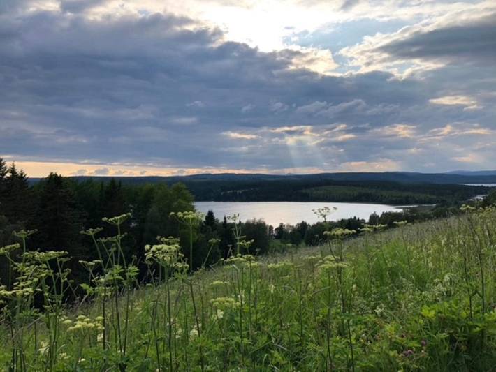 4 stjarniga stuga i Duved in Jämtland