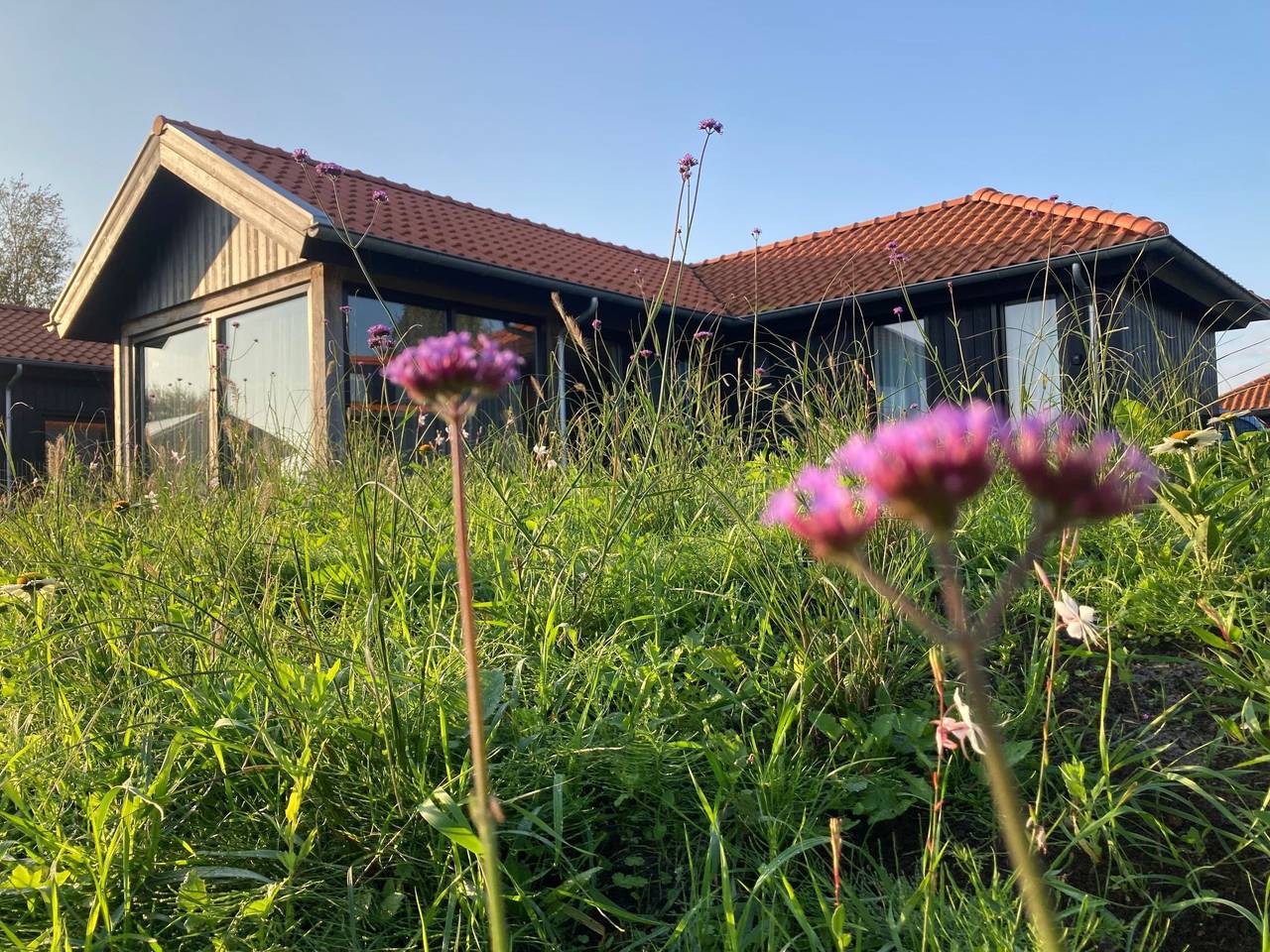 Chalet Ufergrundstück mit eigenem Angelplatz in Oostmahorn, Dongeradeel