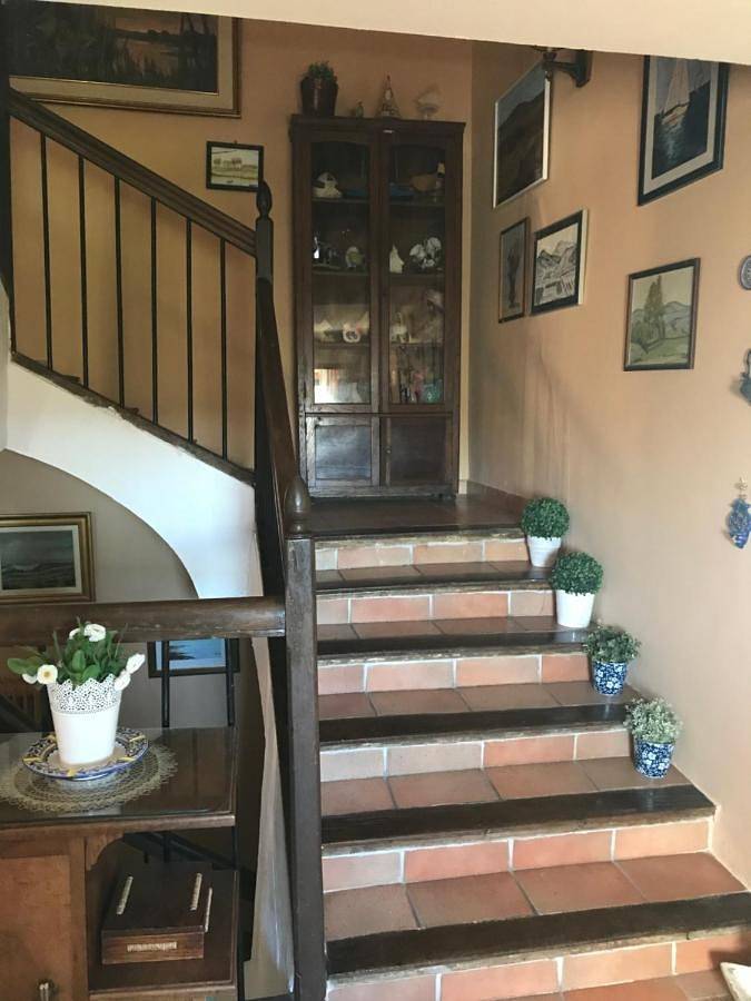 Casa rural para 3 personas, con jardín en Tierra Estella - 4