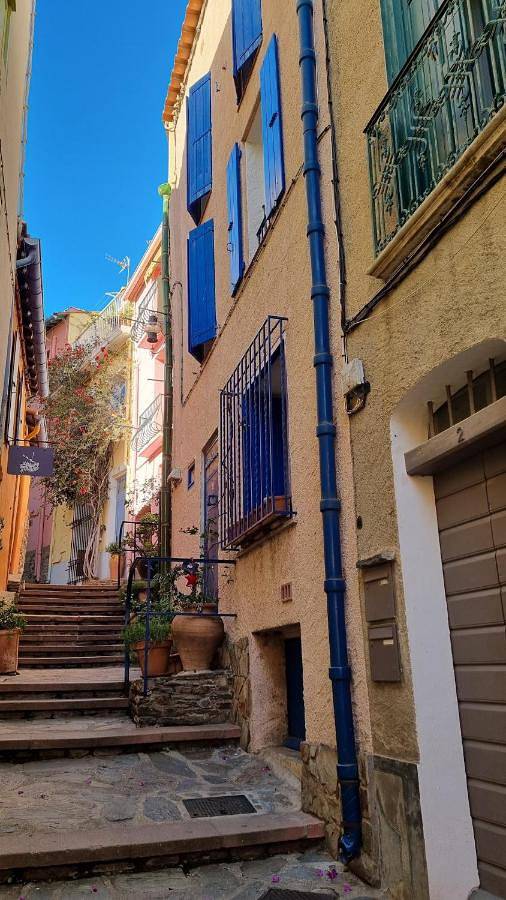 Gîte pour 4 personnes, avec terrasse dans Eglise Notre Dame Des Anges De Collioure - 2