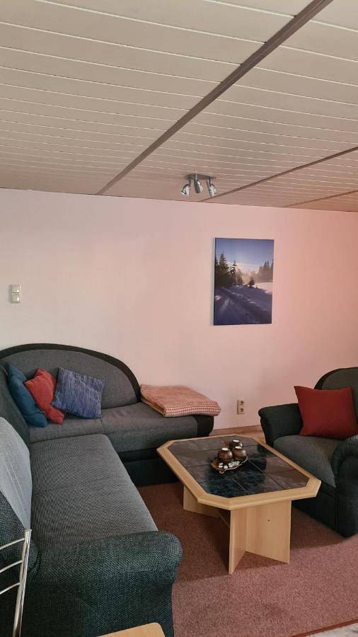 Ganze Wohnung, One-Bedroom Apartment in Frauenwald, Rennsteig