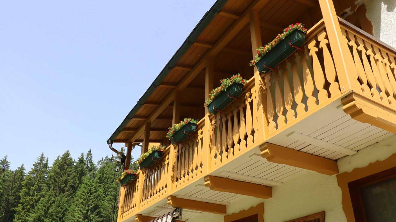 Ganze Wohnung, Haus Heimburg in Rötenbach (Friedenweiler), Friedenweiler