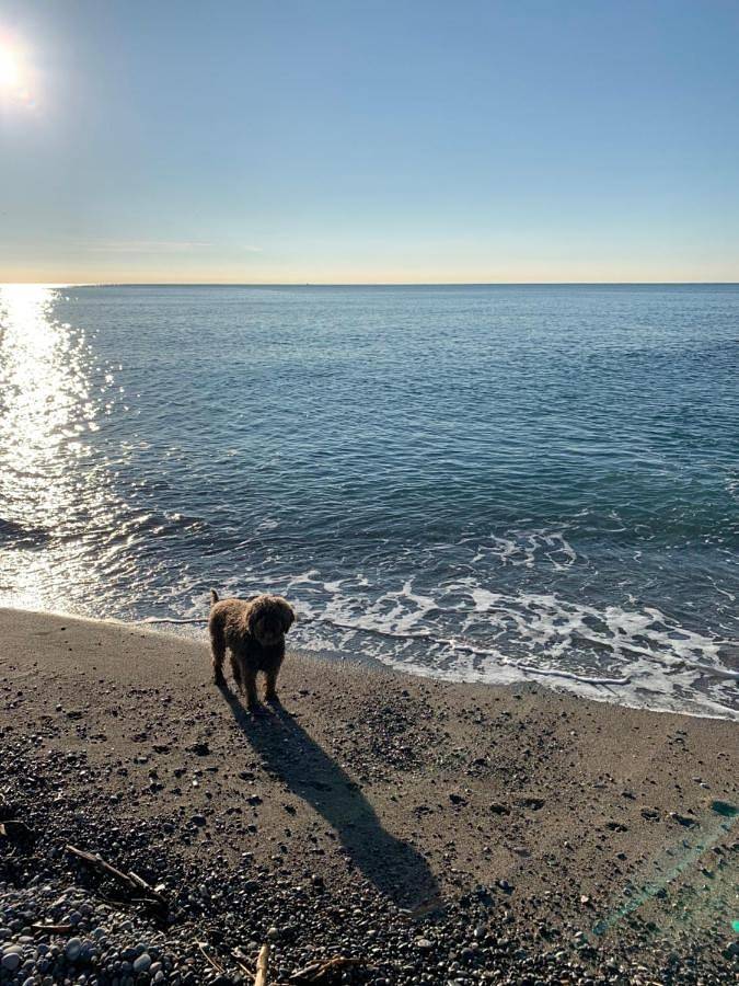 Gîte pour 3 personnes, avec vue ainsi que piscine et jardin dans Port du Cros de cagnes - 2