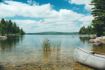 Cottage for 5 People in Maine, USA, Photo 4
