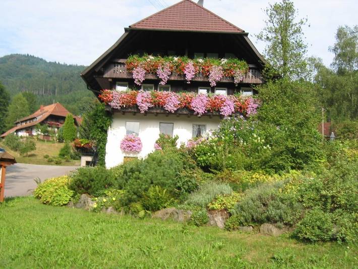 Ferienwohnung für 2 Personen, mit Balkon und Terrasse sowie Garten in Gutach (Schwarzwaldbahn)