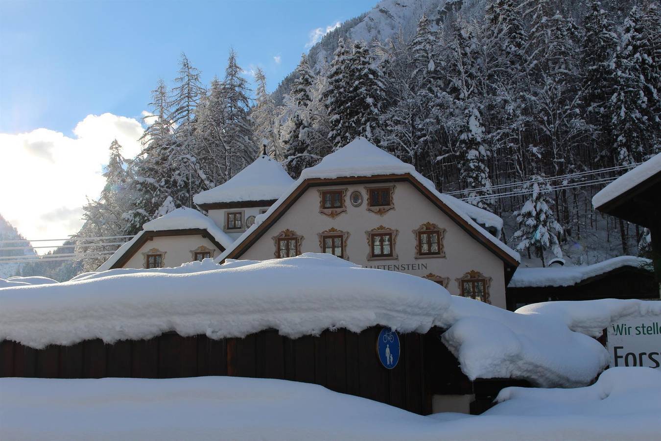 Ganze Ferienwohnung, Appartement Reifhorn, Dusche, Wc, 2 Schlafräume in Sankt Martin bei Lofer, Pinzgau