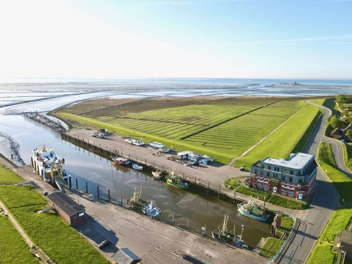 Ferienhaus für 4 Personen, mit Sauna in Pellworm - 3