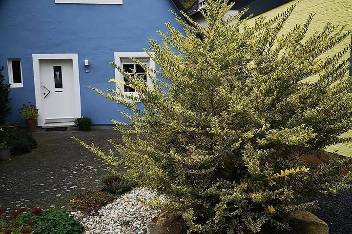 Ferienhaus für 3 Personen, mit Garten - 1