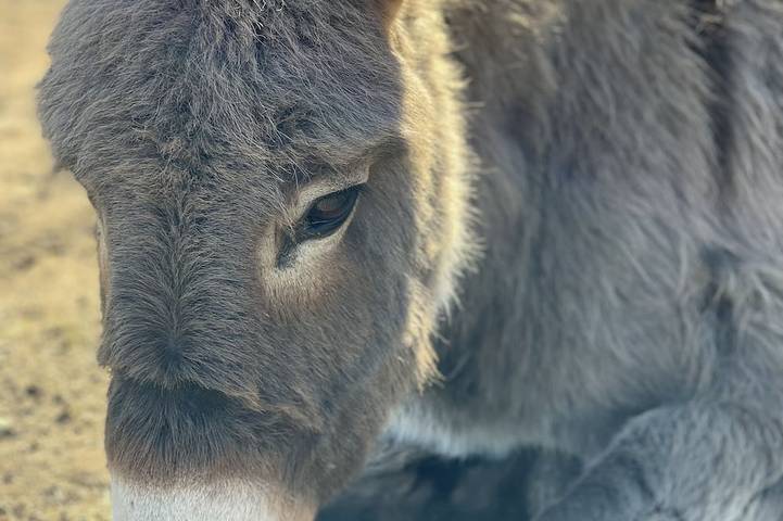 Location de vacances pour 8 personnes, avec jardin à Piégros-la-Clastre - 4