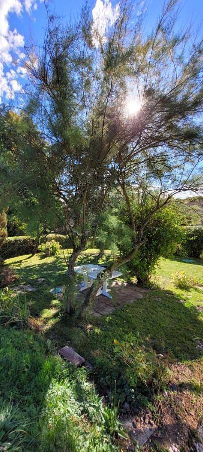 Location de vacances pour 6 personnes, avec terrasse à Cirey-sur-Vezouze