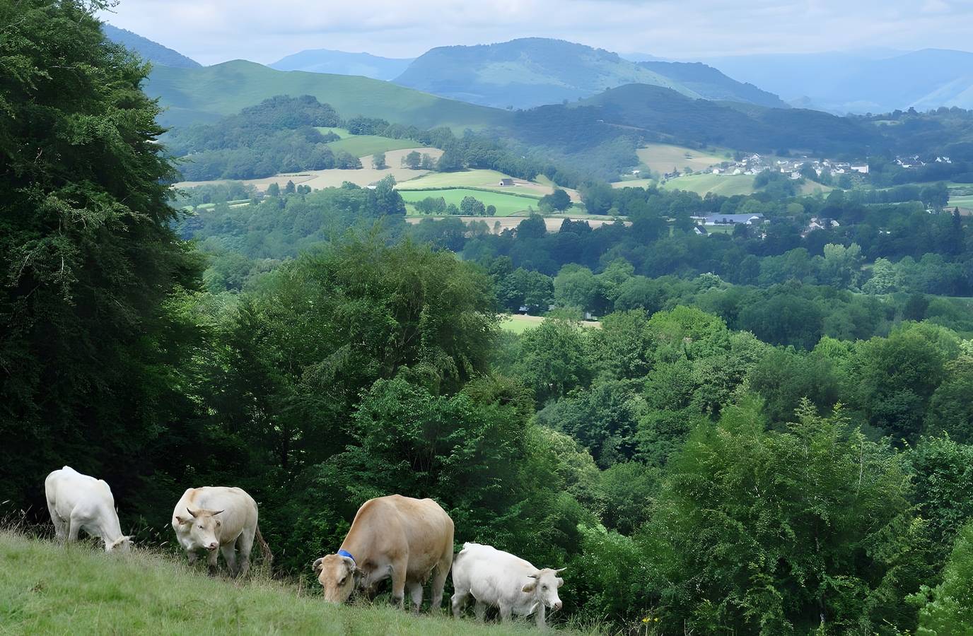 Gite coig de lamothe in Aramits, Béarn