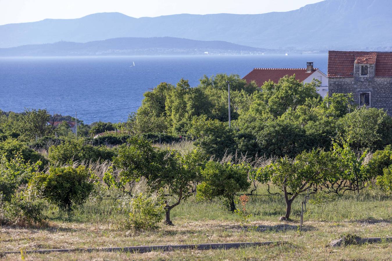 House Baras garden in Mirca, Supetar