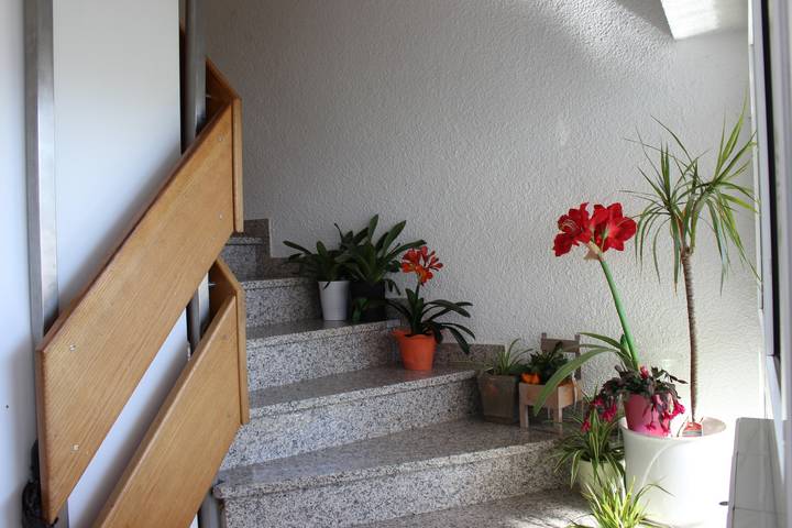 Gästehaus Thoma - Doppelzimmer mit zusätzlicher Schlafcouch in Breisach (Kernstadt), Breisach am Rhein