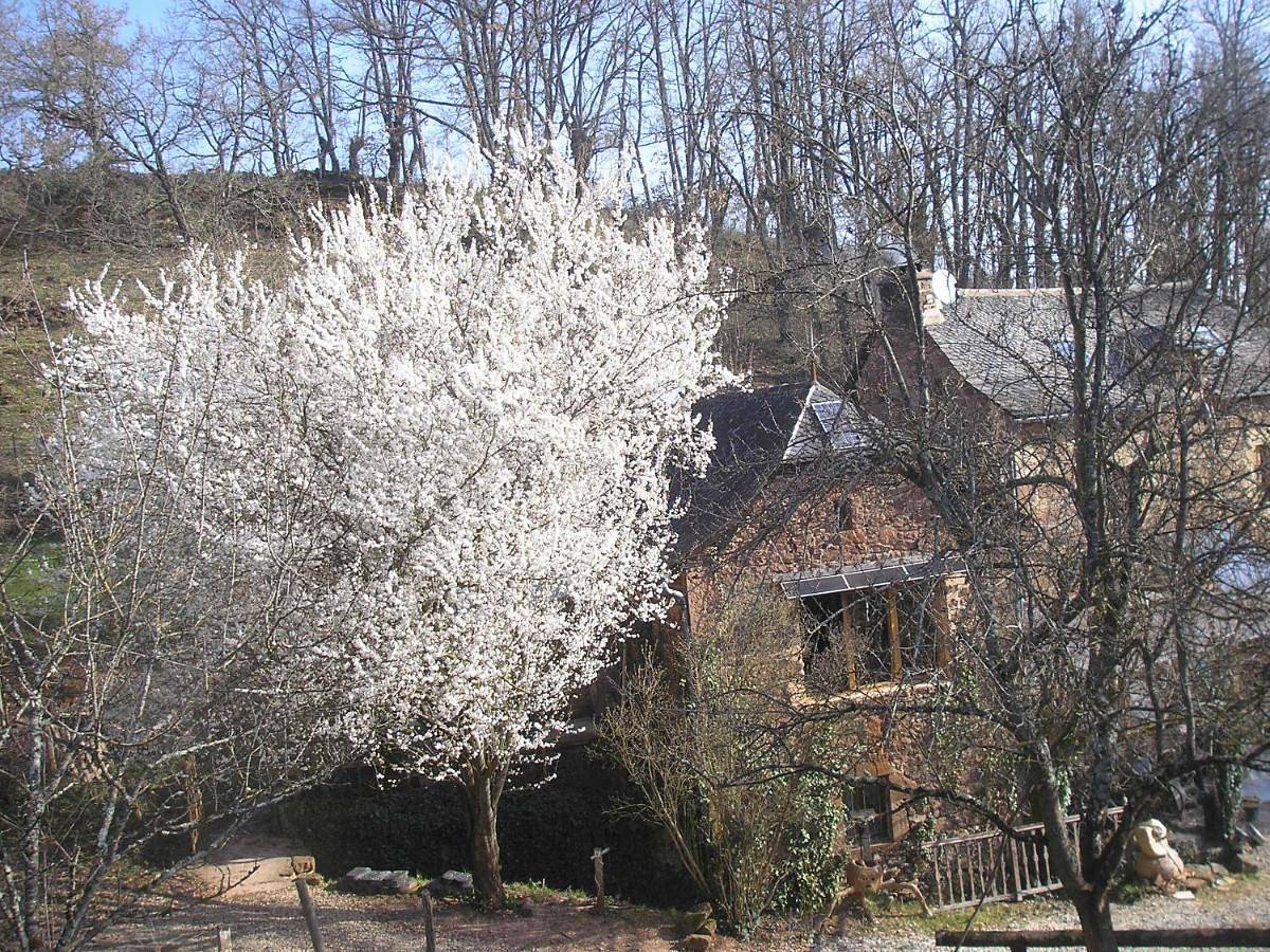 Grange rénovée en pleine nature in Goutrens, Aveyron