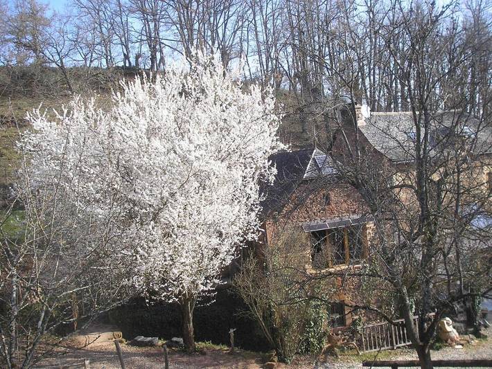 Location de vacances pour 5 personnes, avec Terrasse ainsi que Jardin et Vue à Goutrens