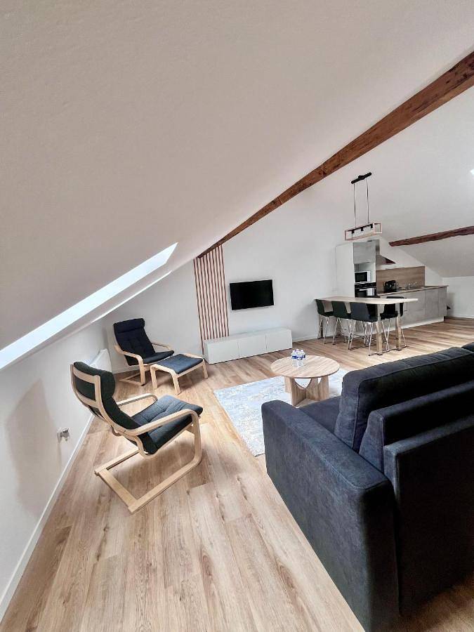 Appartement entier, One-Bedroom Apartment in Oyonnax, Nantua
