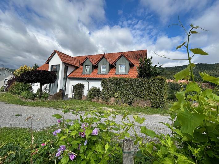 Ganze Ferienwohnung, Ferienwohnung Weingut Sturm - Ferienwohnung in Bürgstadt, Fränkisches Weinland
