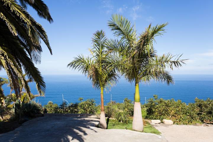 Gîte pour 3 personnes, avec jardin et balcon à La Matanza de Acentejo - 3