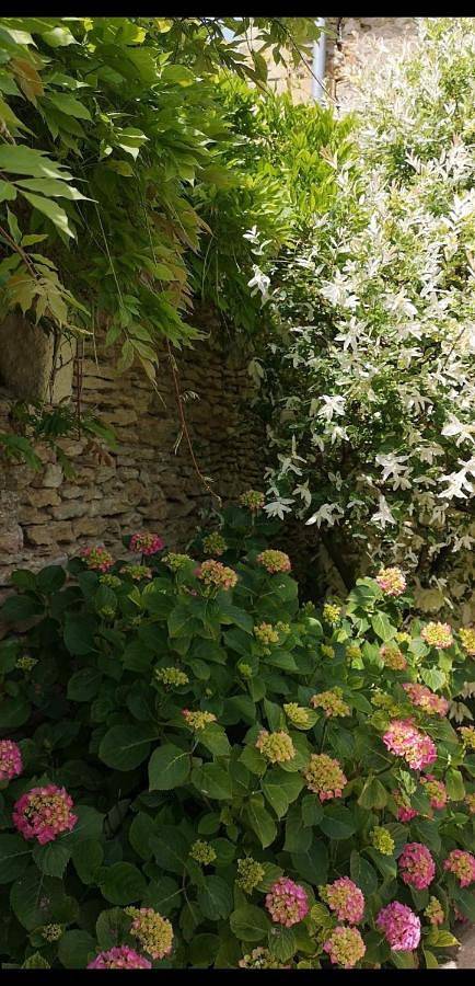 Gîte pour 4 personnes, avec jardin ainsi que balcon et vue à Mouterre-Silly - 2