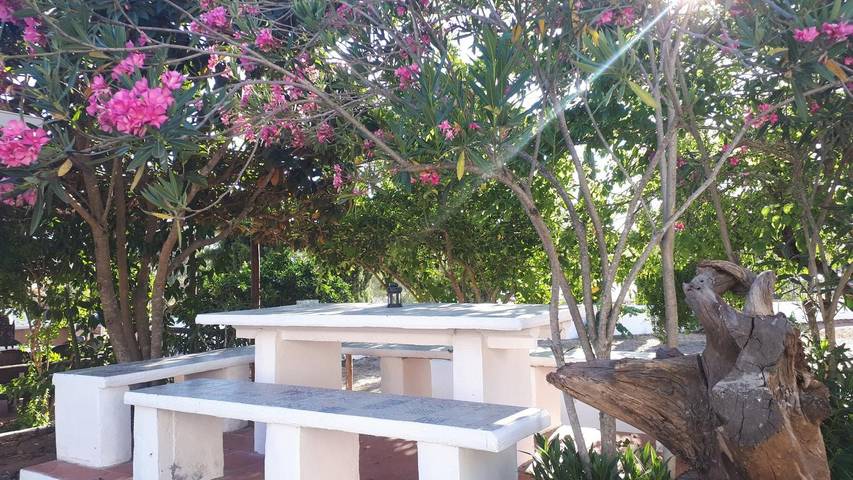 Zimmer 'Palmeira' mit Gemeinschaftspool, Wlan und Klimaanlage in Mina de São Domingos, Corte do Pinto
