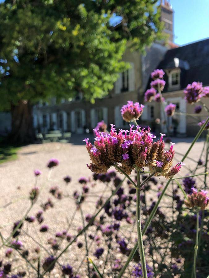 Maison d’hôte pour 2 personnes, avec Terrasse ainsi que Jardin et Piscine à Baccon