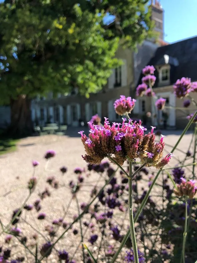 Maison d’hôte pour 2 personnes, avec piscine et jardin - 1