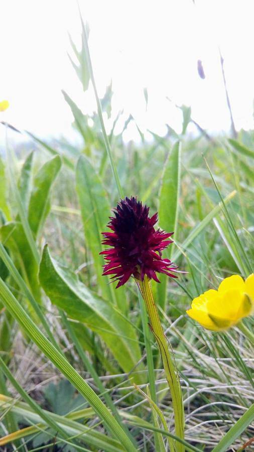 Gîte pour 4 personnes, avec vue dans Serrada