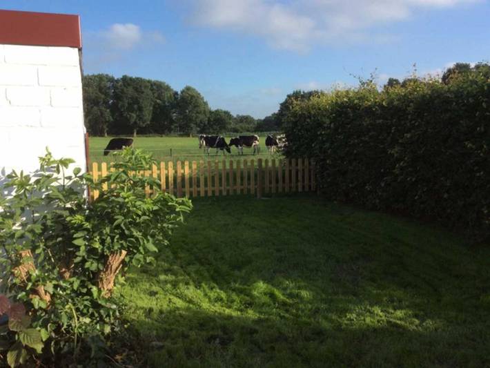 Bauernhaus für 6 Personen, mit Garten und Terrasse, mit Haustier in Leer - 3