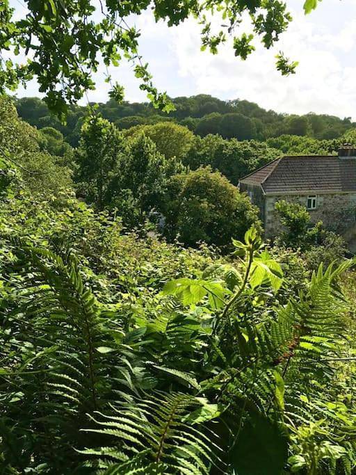 Entire apartment, One-Bedroom Apartment in Helston, Cornwall