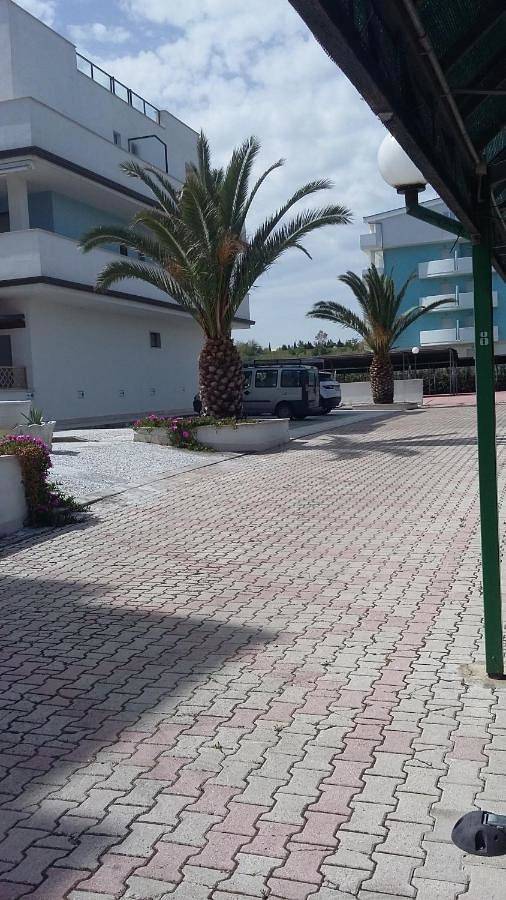 Gîte pour 4 personnes, avec terrasse, animaux acceptés à San Salvo Marina - 4