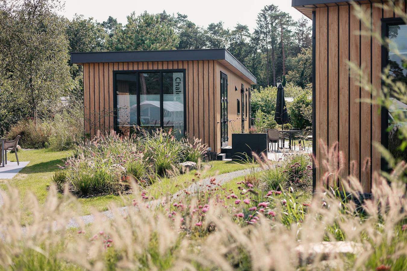 Camping en Bungalowpark de Norgerberg — Chalet deluxe in Drenthe