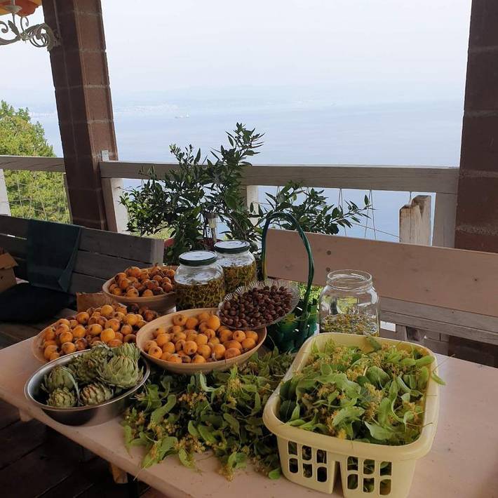 Ferienhaus für 4 Personen, mit Garten und Ausblick in Lovran - 4