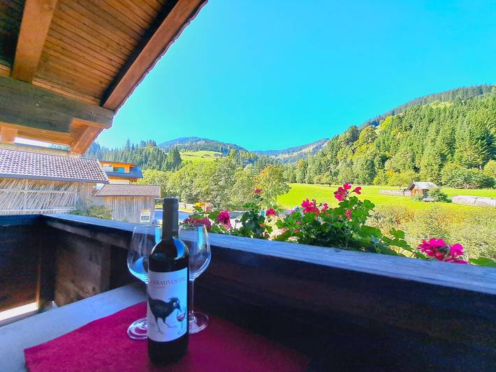 Ferienhaus für 4 Personen, mit Terrasse in Wildschönau - 2